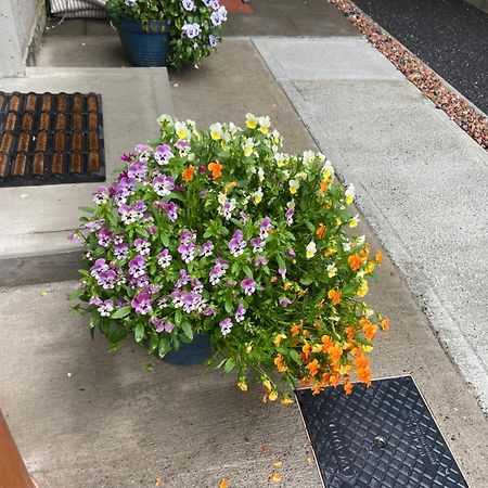 Harrys Place Mullingar Dış mekan fotoğraf